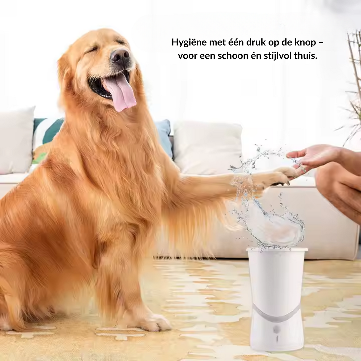 Maxipets® Pawspaw Cup