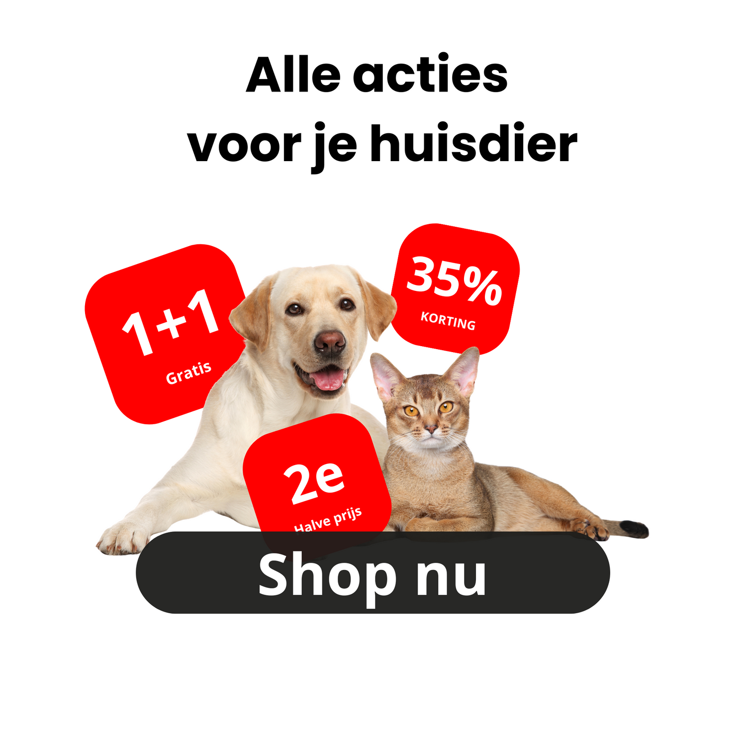 Aanbiedingen & Bundels