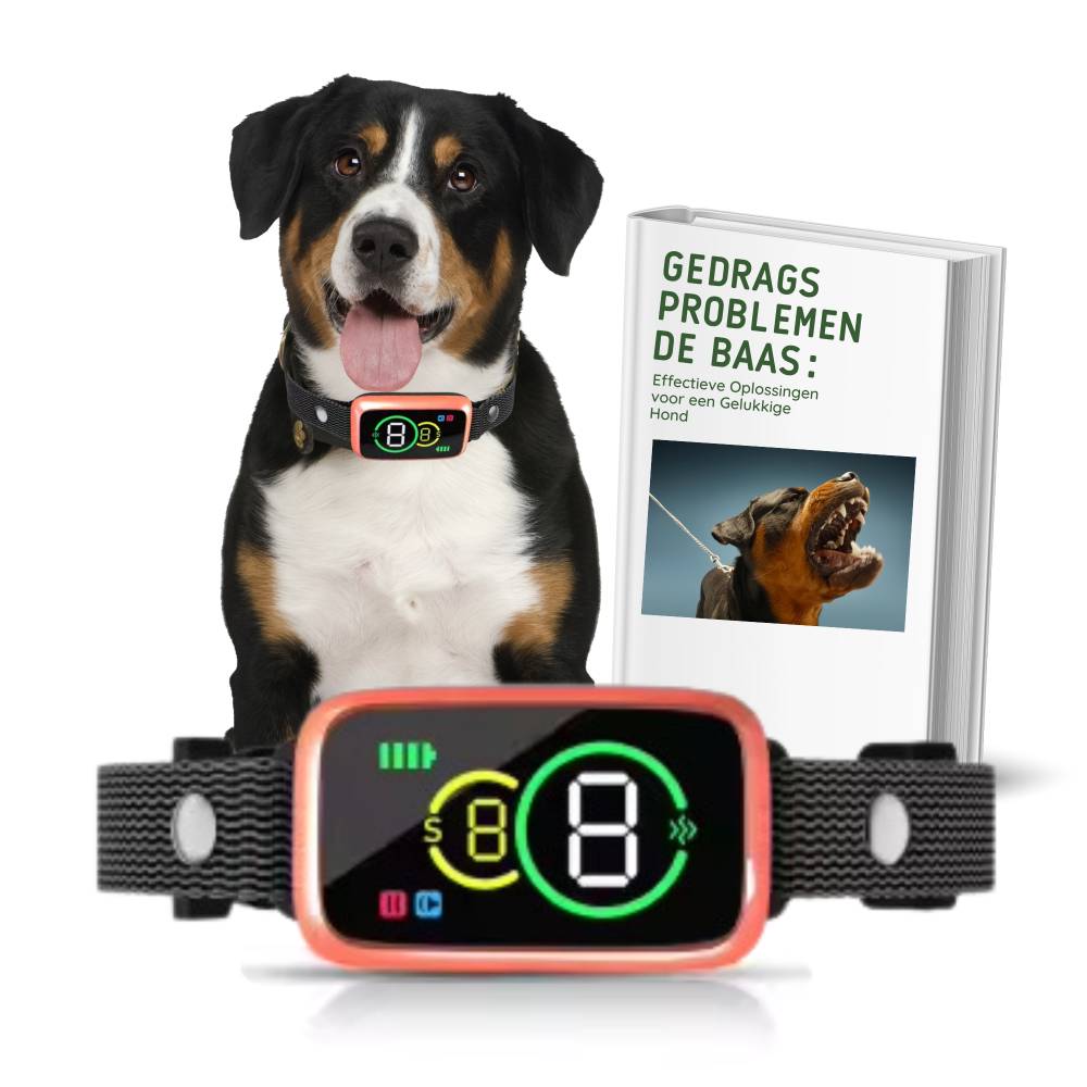 Blafband PRO